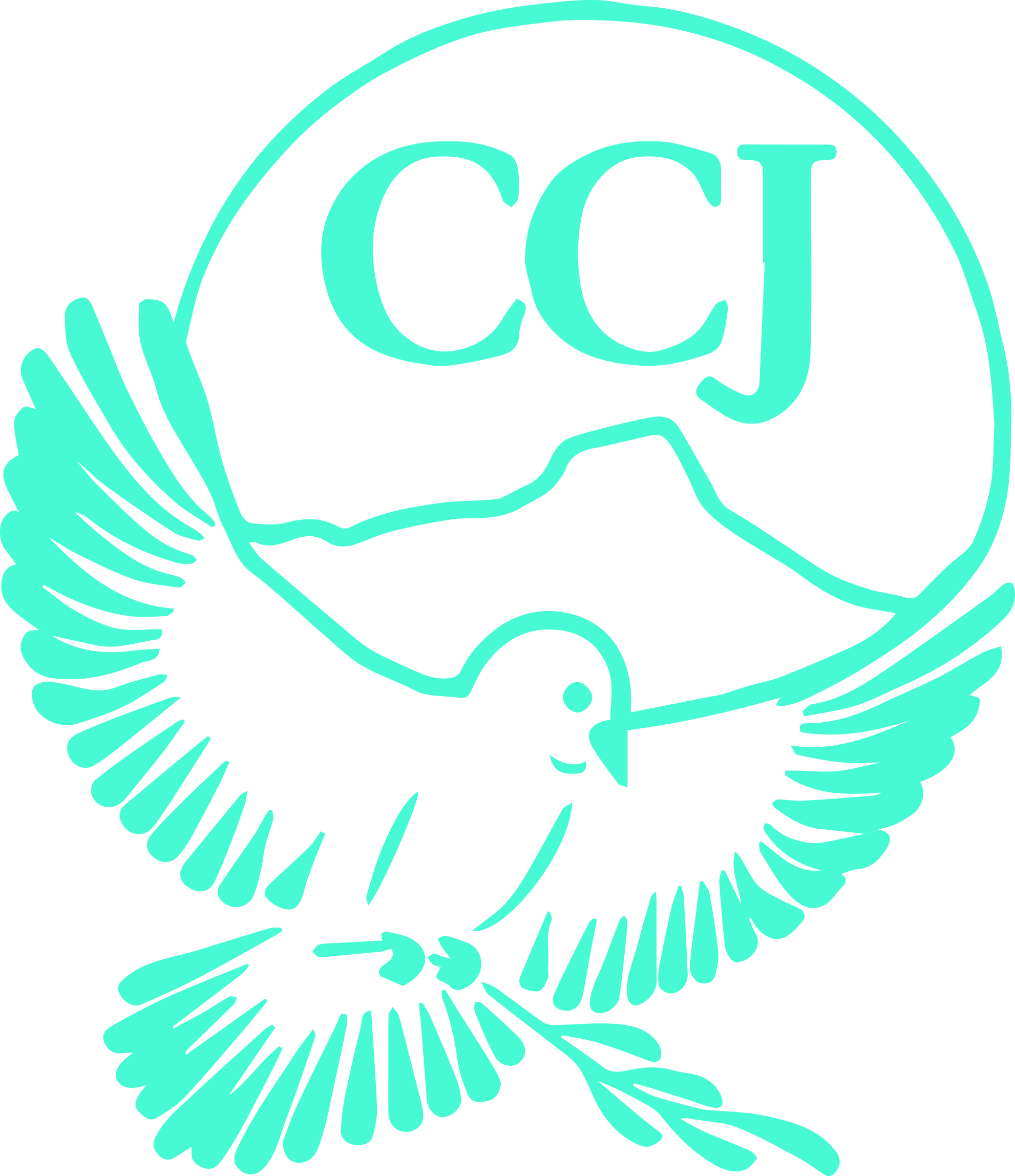 The ccj logo with a dove on it.
